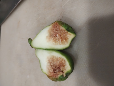 完熟前にシナシナになった実