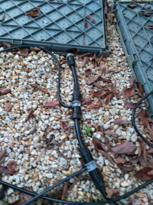 DSC_2505.JPG (1.49 MiB) 閲覧された回数 1029 回 DSC_2505.JPG