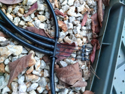 DSC_2506.JPG (1.28 MiB) 閲覧された回数 1029 回 DSC_2506.JPG